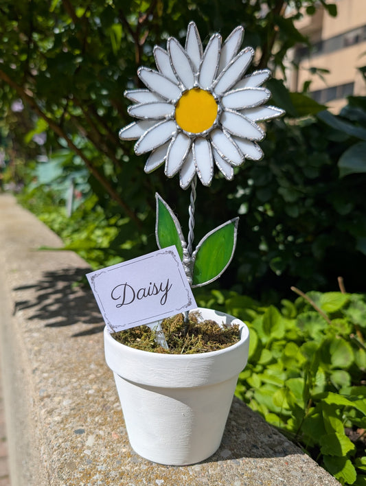 Potted Stained Glass Flower - Daisy