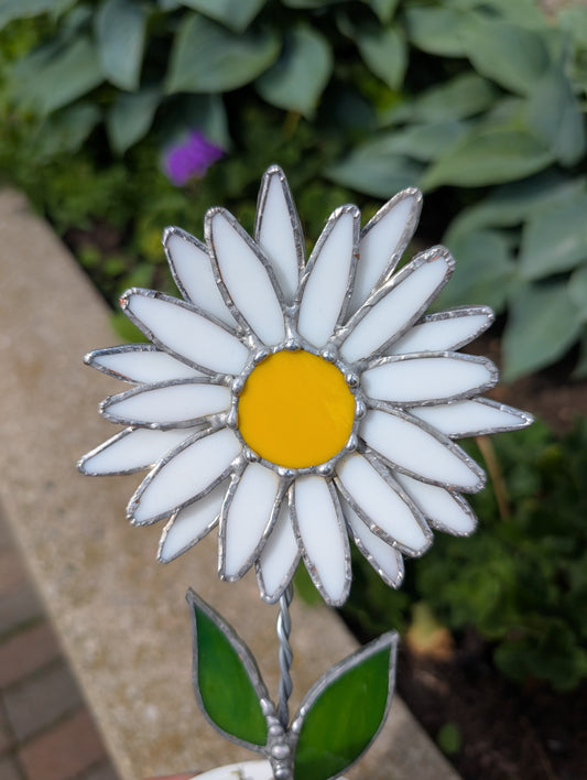 Potted Stained Glass Flower - Daisy