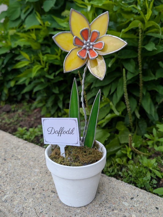 Potted Stained Glass Flower - Daffodil
