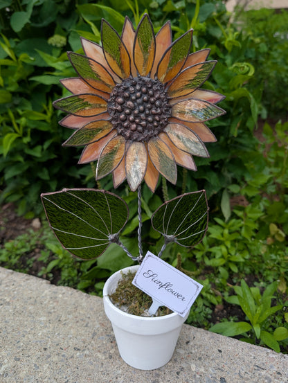 Potted Stained Glass Flower