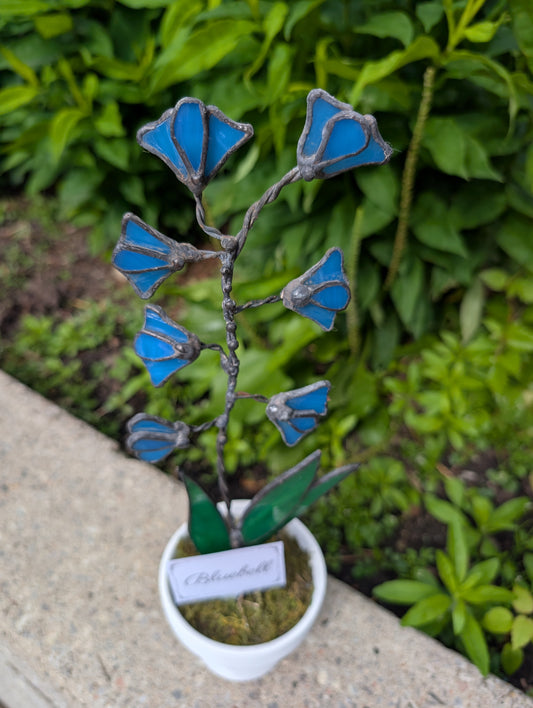 Potted Stained Glass Flower - Bluebell