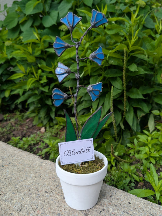 Potted Stained Glass Flower - Bluebell
